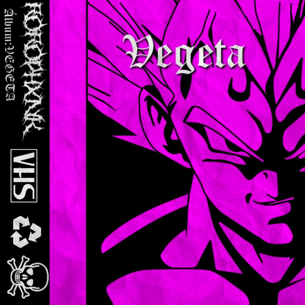 Vegeta (Explicit)