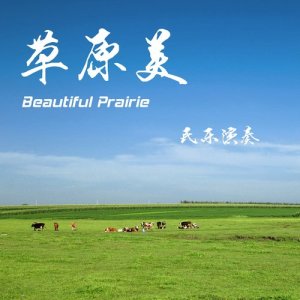 收聽民樂演奏的The beautiful grassland is my home歌詞歌曲
