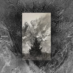 Album Obsession from Superpoze
