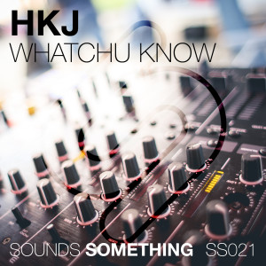 收听HKJ的Whatchu Know (Dub Mix)歌词歌曲