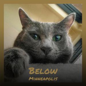 อัลบัม Below Minneapolis ศิลปิน Various Artists