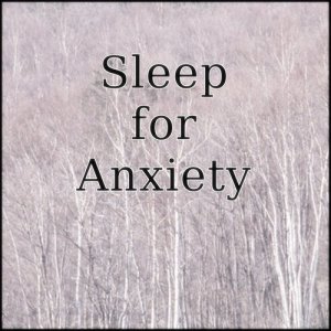 ดาวน์โหลดและฟังเพลง Music for Sleep with Anxiety "Spade" พร้อมเนื้อเพลงจาก Sleep Music Laboratory