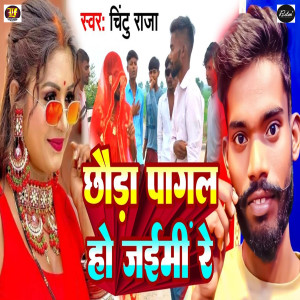 Listen to Chhauda Pagal Ho Jaimi Re song with lyrics from Chintu Raja
