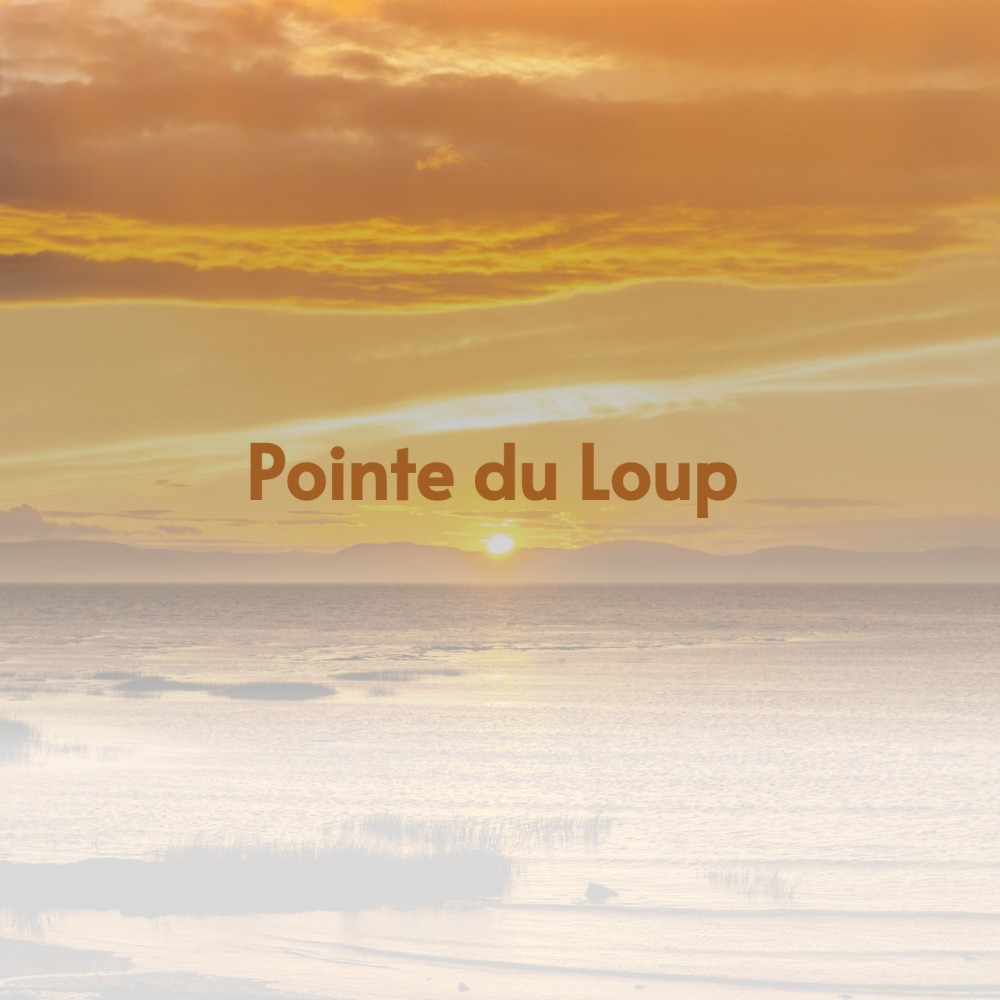 Pointe Du Loup (Original Soundtrack from 'Band of Angels')