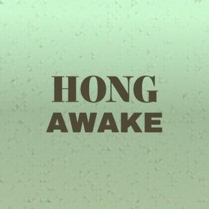 Various Artists的專輯Hong Awake