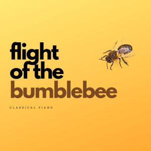 Classical Piano的专辑Flight of the Bumblebee