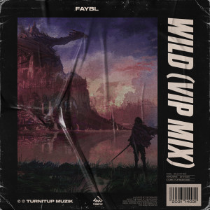 收聽FAYBL的Wild (其他)歌詞歌曲