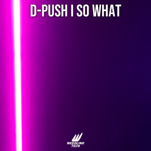 收聽D-Push的So What歌詞歌曲