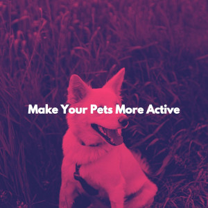 Make Your Pets More Active