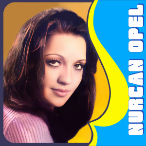 Listen to Niye Gittin Elin Oldun song with lyrics from Nurcan Opel