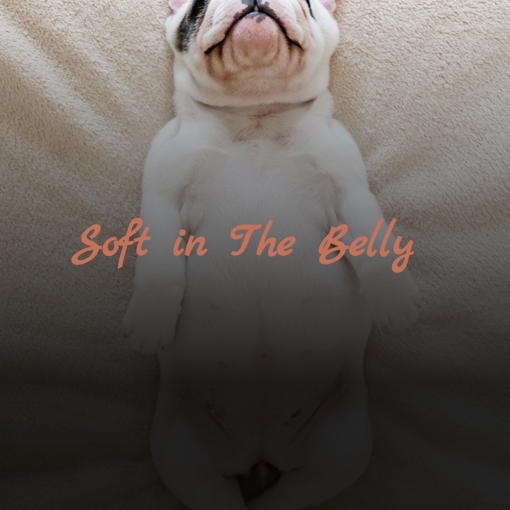 Soft in the Belly (Original Soundtrack from 'D.O.A.')