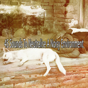 Listen to Drifted into Dreams song with lyrics from Baby Sleep
