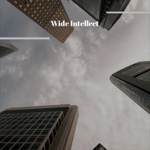 Dengarkan lagu Wide Intellect nyanyian Altan dengan lirik