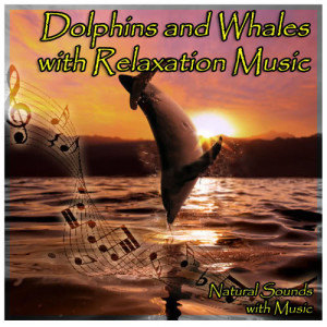 Jamie Llewellyn的專輯Natural Sounds with Music: Dolphins and Whales with Relaxation Music
