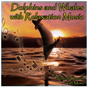 收聽Jamie Llewellyn的Natural Sounds with Music: Dolphins and Whales with Relaxation Music歌詞歌曲