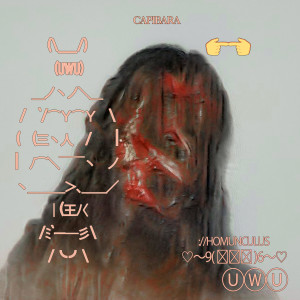 Capibara的专辑UwU