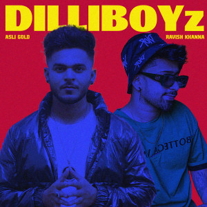 Listen to Dilli Boyz song with lyrics from Asli Gold