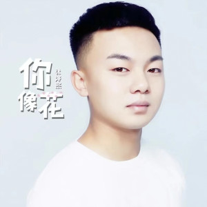 Listen to 你像花 song with lyrics from 张泽熙