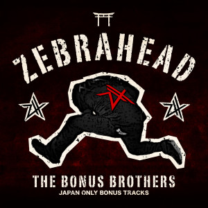 ดาวน์โหลดและฟังเพลง We’re Not a Cover Band, We’re a Tribute Band พร้อมเนื้อเพลงจาก Zebrahead