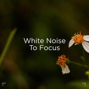 收听BodyHI的White Noise歌词歌曲