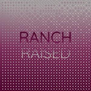 Listen to Hennessy Kiddo song with lyrics from Vand Lanh
