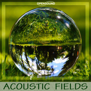 Raffaella Capogna的专辑Acoustic Fields (Music for Movie)