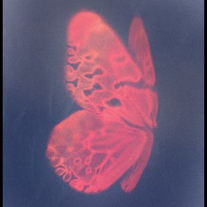 收聽보람的Still Here歌詞歌曲