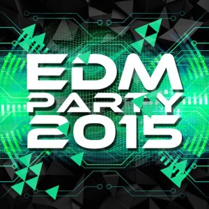ดาวน์โหลดและฟังเพลง Forced to Fight พร้อมเนื้อเพลงจาก This Is EDM 2015
