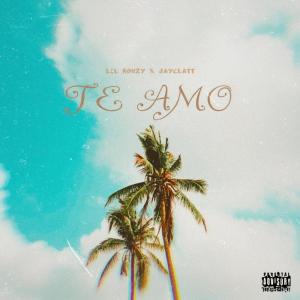 Listen to TE AMO (Explicit) song with lyrics from LIL RONZY