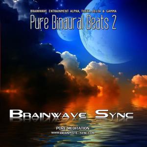 收聽Brainwave-Sync的Perspectives - Gamma歌詞歌曲