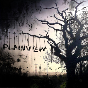 ดาวน์โหลดและฟังเพลง Take What You Want พร้อมเนื้อเพลงจาก Plainview