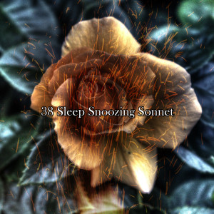 Album 38 Sleep Snoozing Sonnet oleh Rain Sounds Sleep