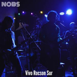 Album Dos Lagos Bajo el Sol - Vivo Rocson Sur oleh Nobs