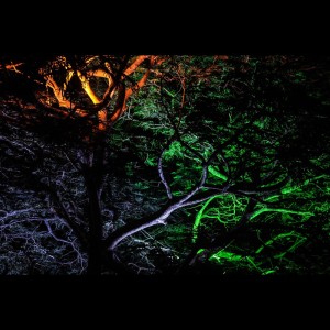 Listen to Above All song with lyrics from Deep Sleep