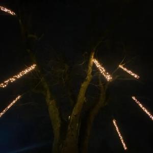 ดาวน์โหลดและฟังเพลง ifh8ustep (Explicit) พร้อมเนื้อเพลงจาก F1regek