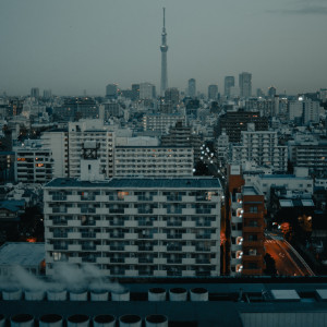 收听Akako Ai的Jungle Electricity歌词歌曲
