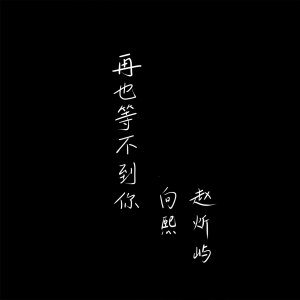 收聽向熙的再也等不到你 (伴奏)歌詞歌曲