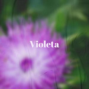 Various Artists的專輯Violeta