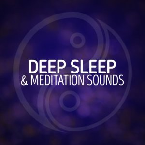 Deep Sleep Meditation的專輯Deep Sleep & Meditation Sounds
