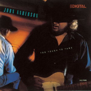ดาวน์โหลดและฟังเพลง The Tears That I Cry พร้อมเนื้อเพลงจาก John Anderson