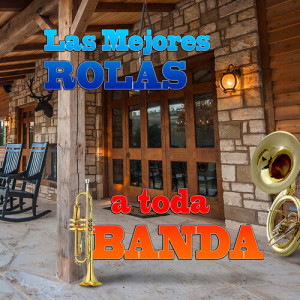 Listen to Toro Viejo song with lyrics from Banda Triguera