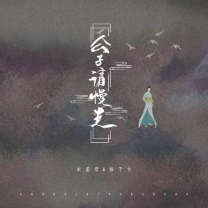 Listen to 公子请慢走 (DJ版伴奏) song with lyrics from 宋孟君