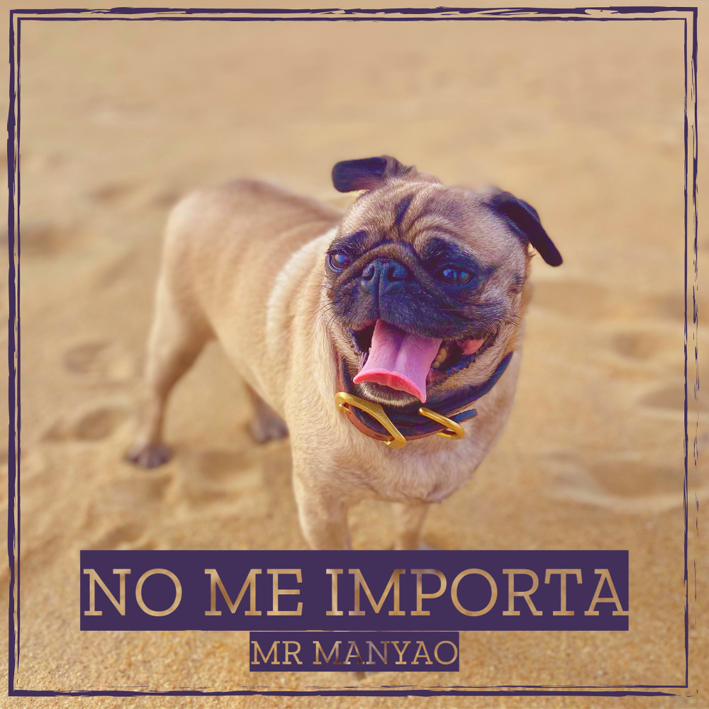 No Me Importa