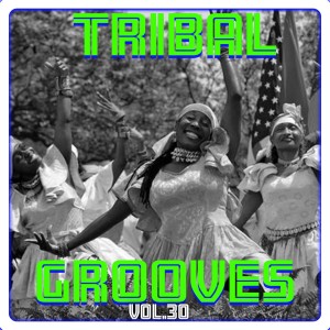 Umar M Sharif的专辑Tribal Grooves Vol. 30