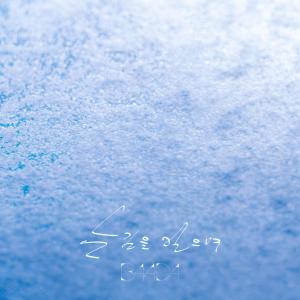 อัลบัม Snow ศิลปิน BAADA