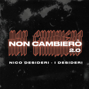Listen to Non Cambierò 2.0 song with lyrics from Nico Desideri