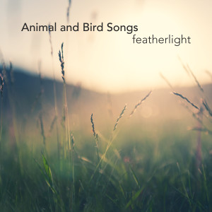 อัลบัม Featherlight ศิลปิน Animal and Bird Songs