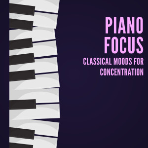 Classical Piano的专辑Piano Focus: Classical Moods for Concentration