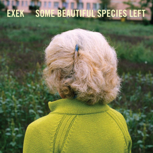 Album Unetiquetted from EXEK