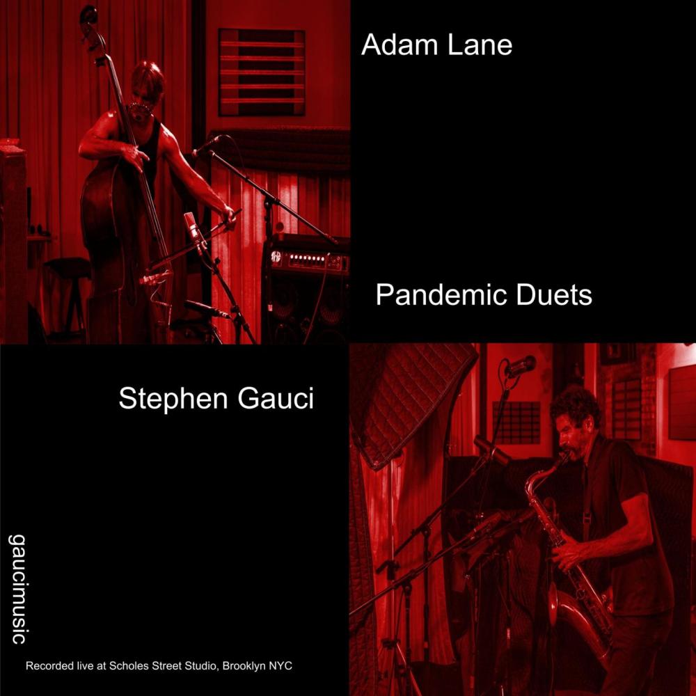 pandemic duets improvisation VIII